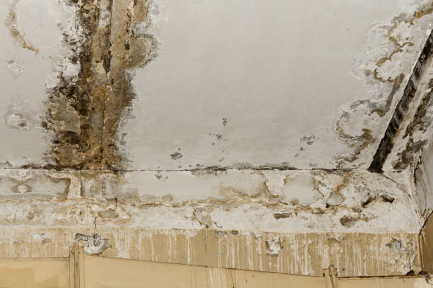 Water damage restoration insurance claims in Hillsborough, NC